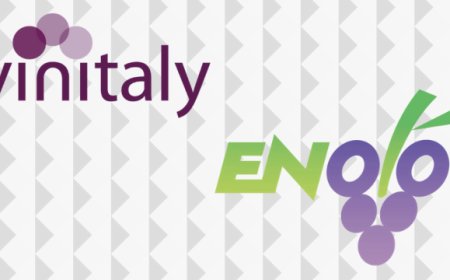 Enolò: a Vinitaly il marketplace di vino che abbassa i costi e fa volare gli affari