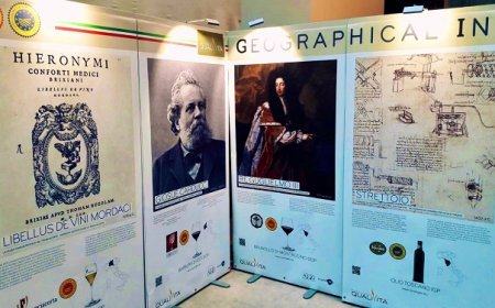 Al Parlamento Europeo la mostra sulle DOP e IGP italiane curata da Qualivita