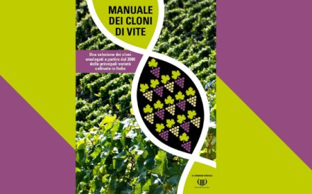 UIV presenta a Vinitaly il Manuale dei cloni di vite