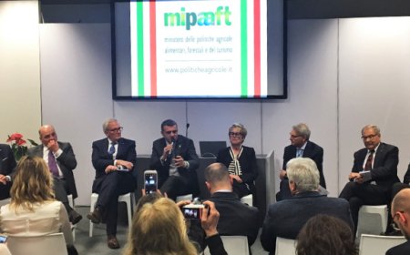 A Vinitaly il confronto tra i presidenti della filiera vitivinicola