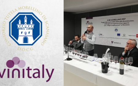 Le Sfumature del Morellino: la DOCG si racconta a Vinitaly