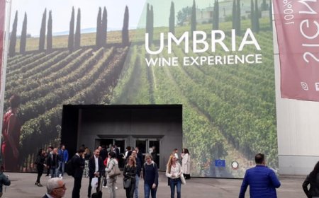 L'Umbria del vino all'appello. Obiettivo: i mercati internazionali