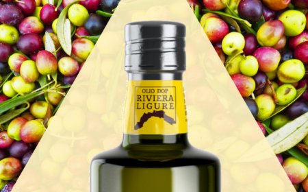 L’Olio Riviera Ligure DOP rilancia la Liguria agroalimentare di qualità