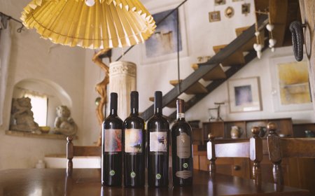 I vini biologici e biodinamici dell'azienda vinicola Fratelli Falzari