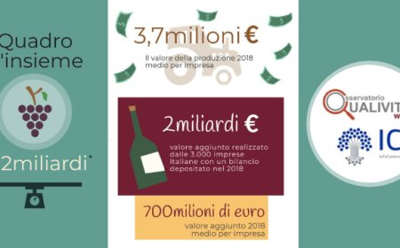 Imprese italiane vino: bilancio positivo da Qualivita Wine e InfoCamere