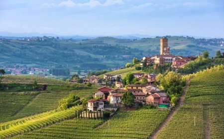 I vigneti italiani costano più di un'isola caraibica