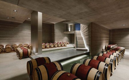 La nuova cantina del Masseto apre ufficialmente le sue porte