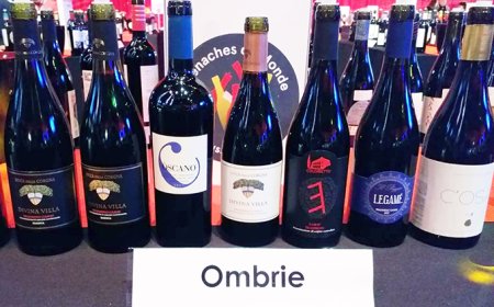 I vini del Trasimeno premiati al Grenaches du Monde