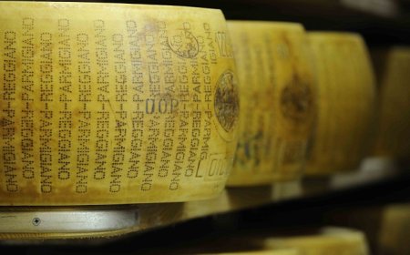 Parmigiano Reggiano: nel 2018 fatturato da record e crescita dell'export