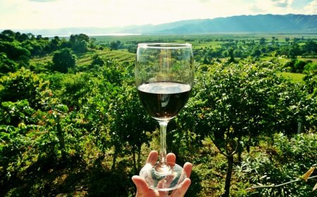 Torna alla Rocca di Bertinoro l'evento 80 voglia di Romagna