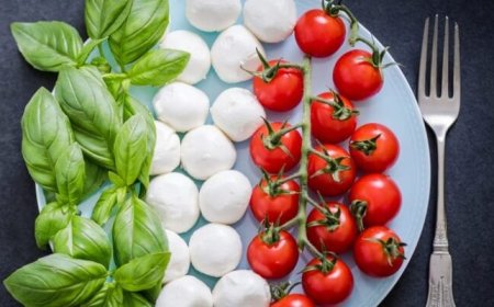 Export: a Milano Food City lo studio che analizza le rotte del cibo italiano nel mondo