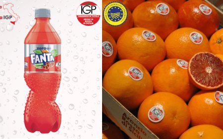 Fanta Aranciata Rossa Zero con "Succo di Arancia Rossa di Sicilia IGP"