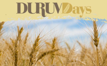 Durum Days 2019: a Foggia le previsioni sulla campagna di grano duro
