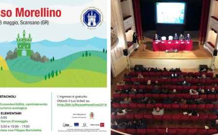 Cambiamenti climatici, territorio e sostenibilità: la sfida green del Morellino di Scansano