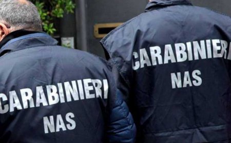 Operazione Oro Giallo: ASSITOL plaude l'operato dei NAS