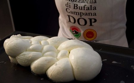 Un test per smascherare la falsa mozzarella di bufala