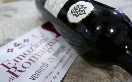 Emozioni di Romagna nel piatto e nel calice di Osteria da Paco