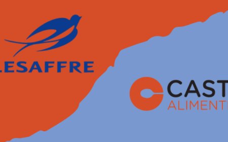 Lesaffre Italia e Cast Alimenti insieme per parlare di lievito