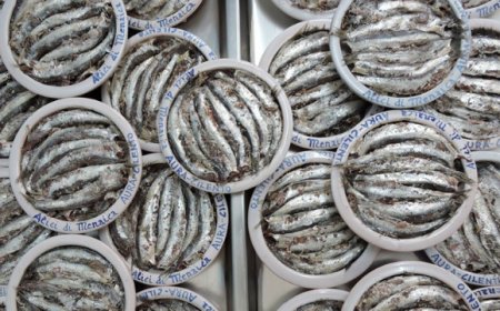 Aura Cilento: dalle alici ai lampascioni, il Cilento finisce in conserva