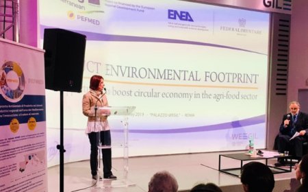 Agroalimentare e impatto ambientale: da Federalimentare ed Enea nuovi strumenti