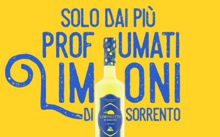 Decorazioni di casa estive a base di Limoncetta e a tema "limoni"