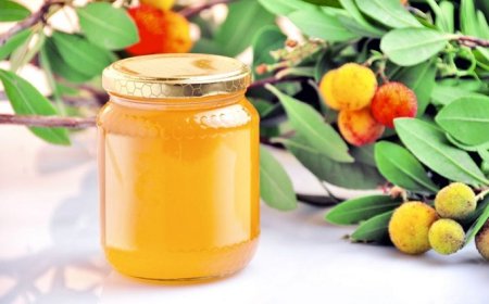 Miele di corbezzolo possibile arma per la cura del tumore al colon