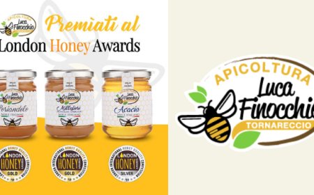 Apicoltura Luca Finocchio: il miele abruzzese premiato a Londra