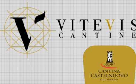 Cantine Vitevis e Cantina Castelnuovo del Garda: nuova realtà cooperativa