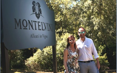"Alleati in vigna": il progetto di Montelvini per scoprire il territorio