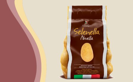 Consorzio Patata Italiana di Qualità: Massimo Cristiani confermato presidente