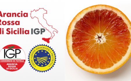 Consorzio Arancia Rossa: un 2019 a pieno ritmo