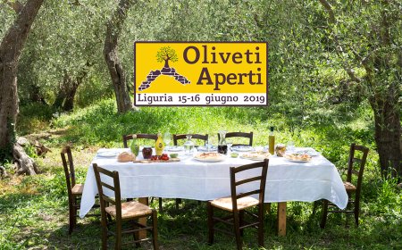 Oliveti Aperti: un week-end green in Liguria
