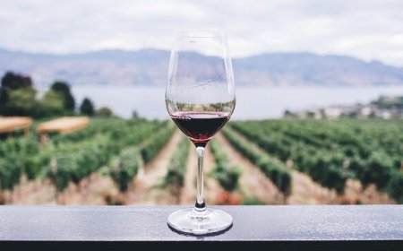 Consorzio vino Toscana: la nuova realtà per tutelare l'IGT