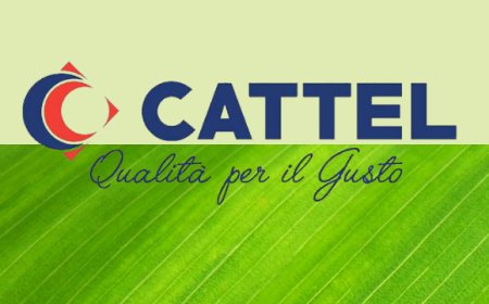Cattel Spa ricerca nuove alternative alla plastica monouso