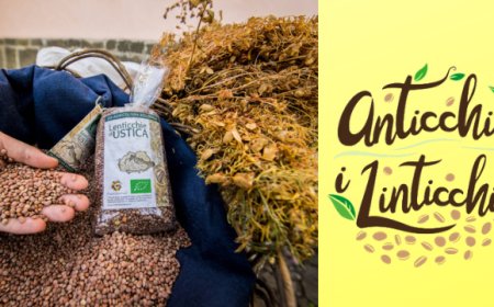 La Lenticchia di Ustica protagonista di "Anticchia i Linticchia"