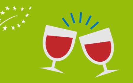 Cresce il vino bio: in testa Calabria, Sicilia e Marche