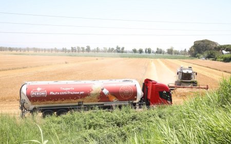 Birra Peroni: quando la raccolta dell'orzo diventa lezione "sul campo"