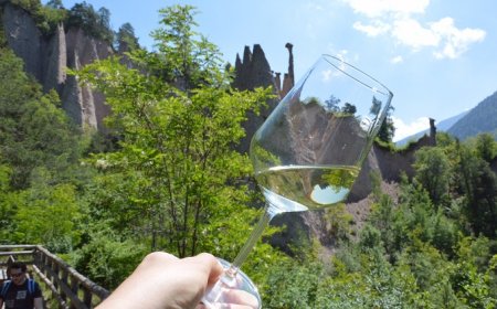 Con la Strada del Vino e dei Sapori del Trentino undici giorni A tutto Müller