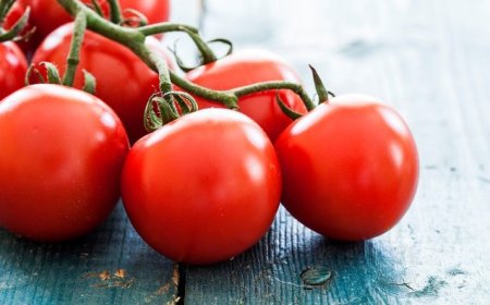 Aumenta l'export di pomodoro italiano verso gli Stati Uniti
