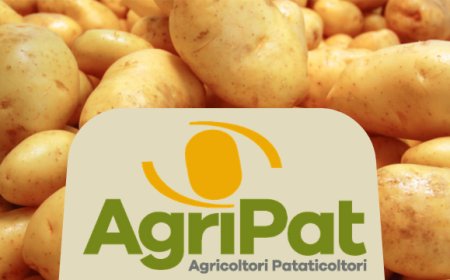 Prezzo delle patate: si parte col piede giusto. Attenzione all'etichetta