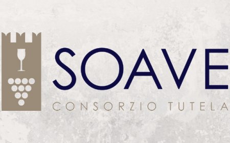 Da paesaggio a patrimonio: il percorso virtuoso del Soave