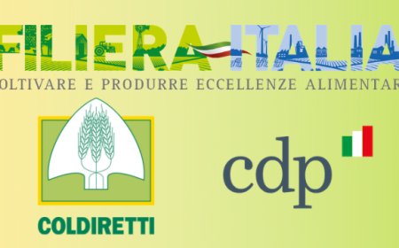 CDP, Coldiretti e Filiera Italia: protocollo d’intesa per filiera agroalimentare