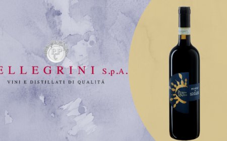 Solaria entra nel catalogo del distributore Pellegrini S.p.A.