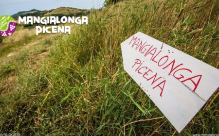 Mangialonga Picena: percorso enogastronomico fra le colline marchigiane