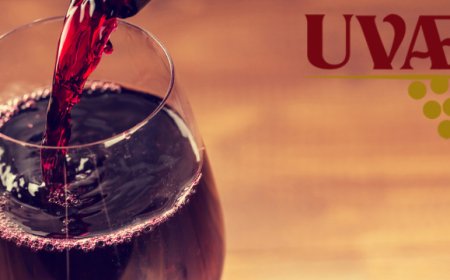 Uvae racconta la sua Umbria del vino con Decugnano dei Barbi