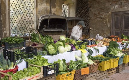 Torna il Mercato della Terra al Castello di Padernello