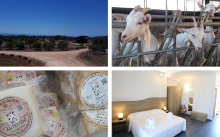 Scicli: apre l'agriturismo Fattoria delle Milizie