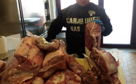 Nuovo intervento dei Nas: a Padova e Udine sequestrate 30 tonnellate di carne