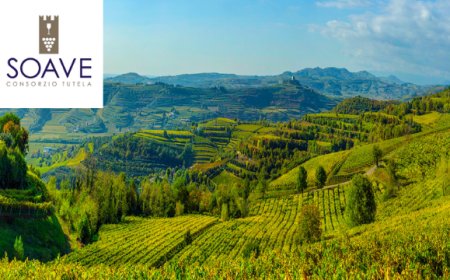 A Soave la tecnologia innovativa per la viticoltura in collina