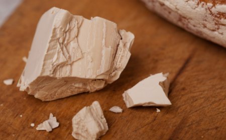 Lievito: i dati di un settore che lotta contro le fake news